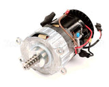 X02069 Globe Motor Assembly