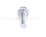 X08005 Globe Screw