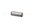 X08037 Globe Planetary Pin