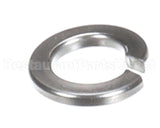 X08102 Globe Lock Washer
