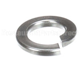 X08102 Globe Lock Washer