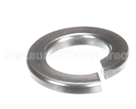 X08102 Globe Lock Washer