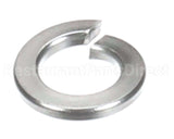 X08102 Globe Lock Washer