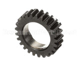 X08109 Globe Gear Clutch (25 Tooth)