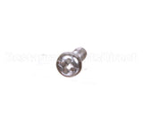 X10134B Globe Screw