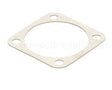 X10199 Globe Gasket (Gear Shift)