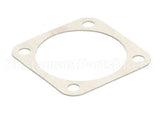 X10199 Globe Gasket (Gear Shift)