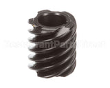 X20065 Globe Worm (5T)