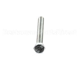 X20086 Globe Screw