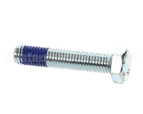 X30039 Globe Screw - Base Shipping