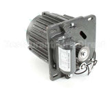 X30068 Globe Motor