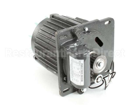 X30068 Globe Motor