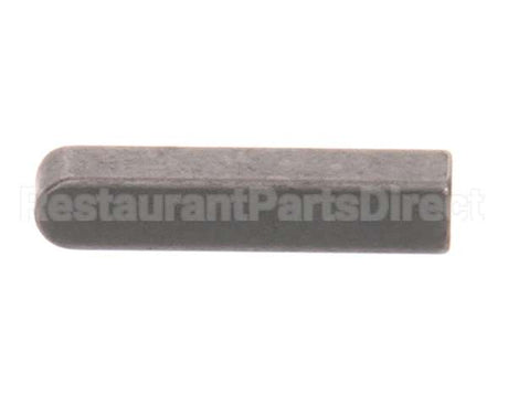 X30081 Globe Key