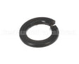 X30198 Globe Washer