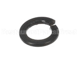 X30198 Globe Washer