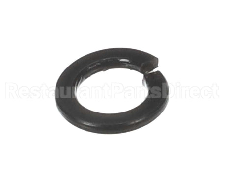 X30198 Globe Washer