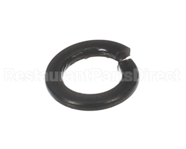 X30198 Globe Washer