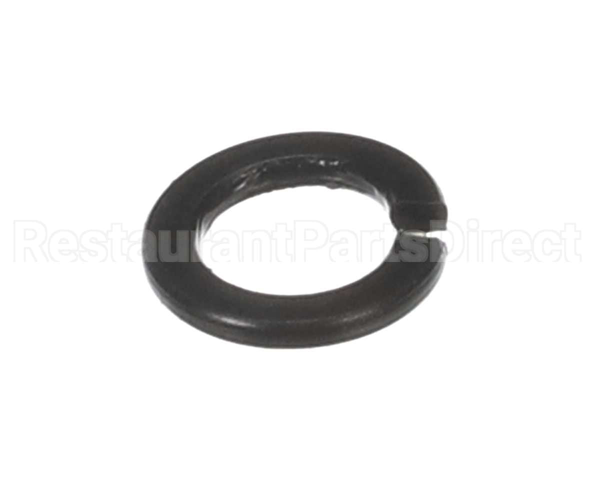 X30198 Globe Washer