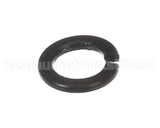 X30198 Globe Washer