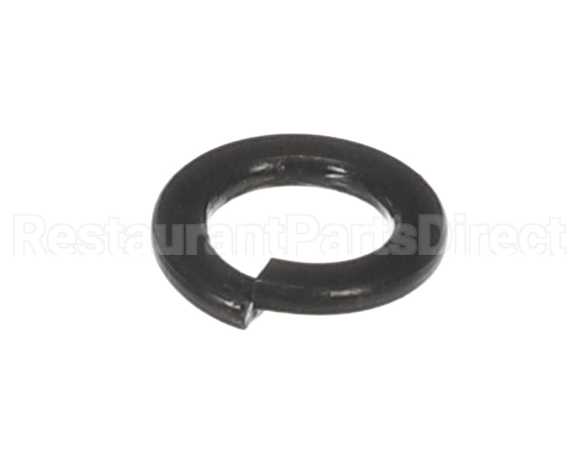 X30198 Globe Washer