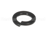 X30198 Globe Washer