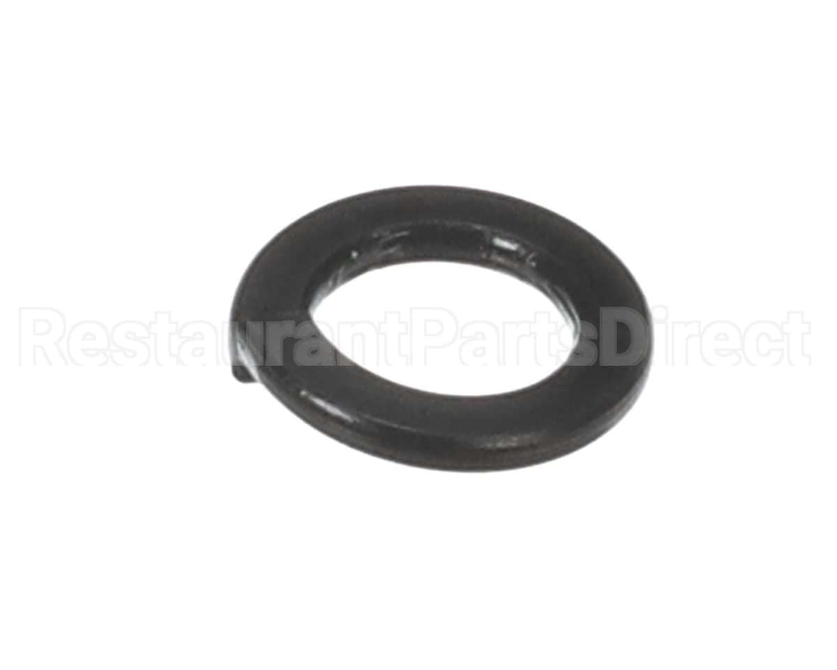 X30198 Globe Washer