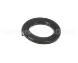 X30198 Globe Washer
