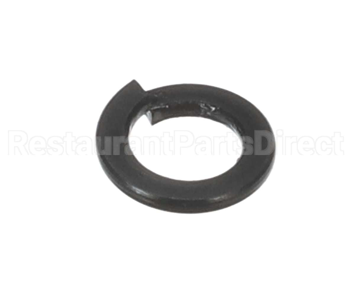X30198 Globe Washer