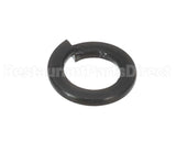 X30198 Globe Washer