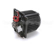 X40068-1 Globe Motor Sp40P (2Hp) 208/60/3