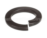 X40111A Globe Washer