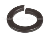 X40111A Globe Washer