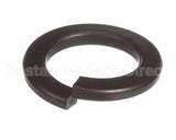 X40111A Globe Washer