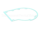 X5C10 Globe Gasket