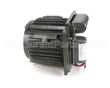 X60068-2 Globe Motor Sp60P (3Hp) 220/60/1