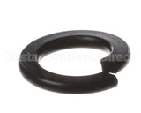 X80B02 Globe Spring Washer