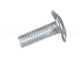 X80B30 Globe Screw