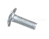 X80B30 Globe Screw