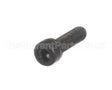 X80B52 Globe Screw