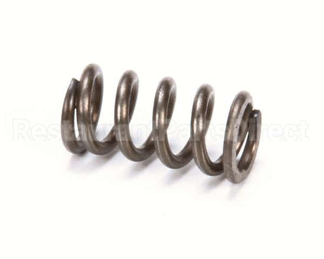 X80E20 Globe Spring