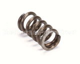 X80E20 Globe Spring