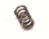 X80E20 Globe Spring