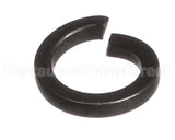 X80F24-1 Globe #10 Lock Washer