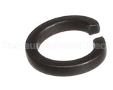 X80F24-1 Globe #10 Lock Washer