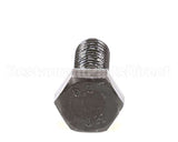 X80F25 Globe M8 X 25 Screw