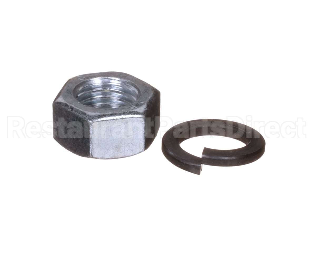 X80H49 Globe Washer