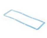 X80J01 Globe Gasket