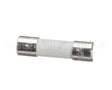 X80J22A Globe Fuse (250 Volt / 500Ma)