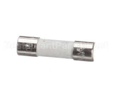 X80J22A Globe Fuse (250 Volt / 500Ma)