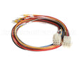 X80J24 Globe Connector